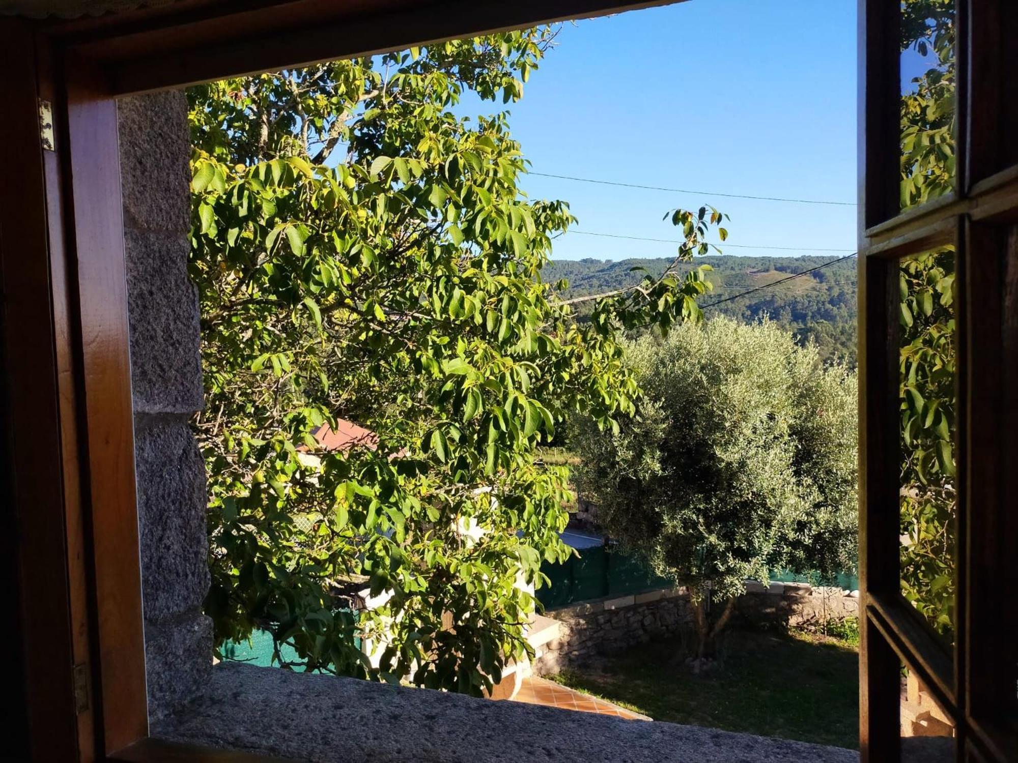 Hébergement de vacances La Camelia *